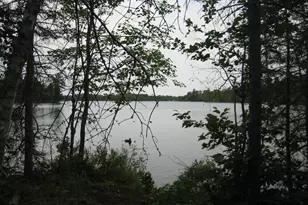 13848 Queen's Bay Rd, Ely, MN 55731 - Photo 5