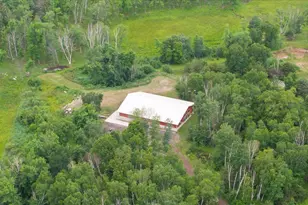 23699 295th Ave, Pierz, MN 56364 - Photo 37