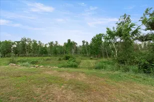 23699 295th Ave, Pierz, MN 56364 - Photo 39