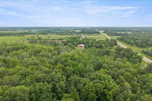 23699 295th Ave, Pierz, MN 56364 - Photo 29