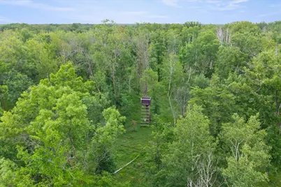 23699 295th Avenue, Pierz, MN 56364 - Photo 31