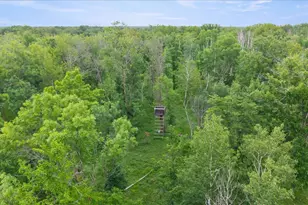 23699 295th Ave, Pierz, MN 56364 - Photo 31
