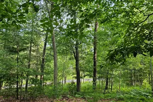 29110 Treasure Island Trail Way, Danbury, WI 54830 - Photo 51