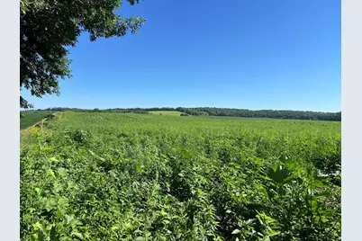 000 330th, Ashby, MN 56309 - Photo 5