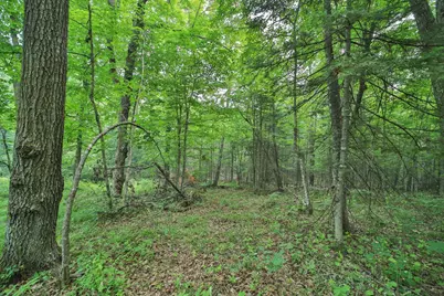Tbd Garden Ln Lane, McGregor, MN 55760 - Photo 3