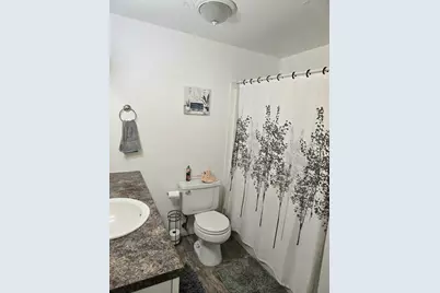 3414 County Road 32 S, Loman, MN 56654 - Photo 31