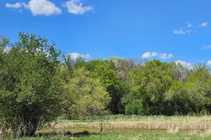 3698 135th St, Plato, MN 55370 - Photo 59