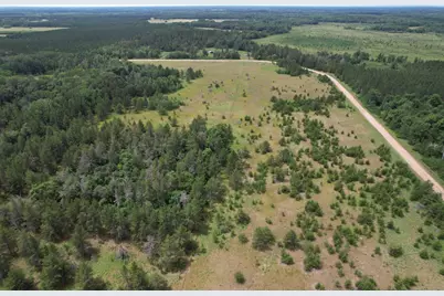 Tbd 350th Street, Menahga, MN 56464 - Photo 31