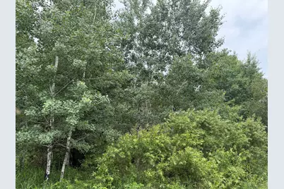 Tbd 350th Street, Menahga, MN 56464 - Photo 45