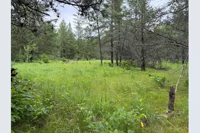 Tbd 350th Street, Menahga, MN 56464 - Photo 89