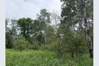 Tbd 350th Street, Menahga, MN 56464 - Photo 47
