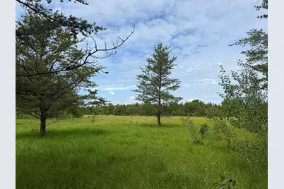 Tbd 350th Street, Menahga, MN 56464 - Photo 55