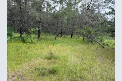 Tbd 350th Street, Menahga, MN 56464 - Photo 85