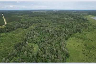 Tbd 350th Street, Menahga, MN 56464 - Photo 11