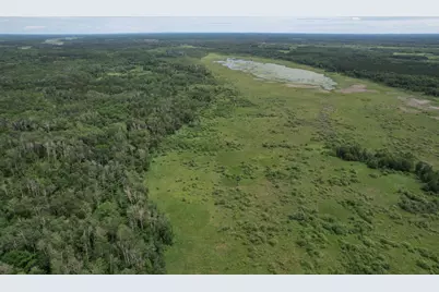 Tbd 350th Street, Menahga, MN 56464 - Photo 13