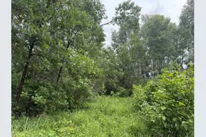 Tbd 350th Street, Menahga, MN 56464 - Photo 41