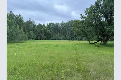 Tbd 350th Street, Menahga, MN 56464 - Photo 67