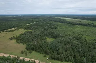 Tbd 350th St, Menahga, MN 56464 - Photo 1