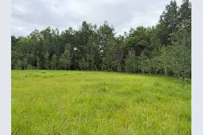 Tbd- 350th Street, Menahga, MN 56464 - Photo 21