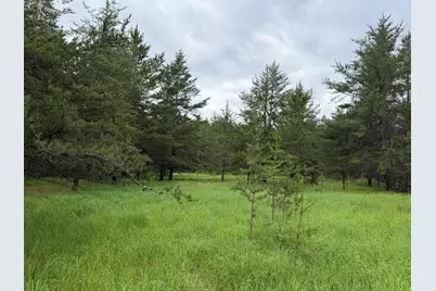 Tbd- 350th Street, Menahga, MN 56464 - Photo 39