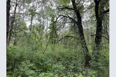 Tbd- 350th Street, Menahga, MN 56464 - Photo 17