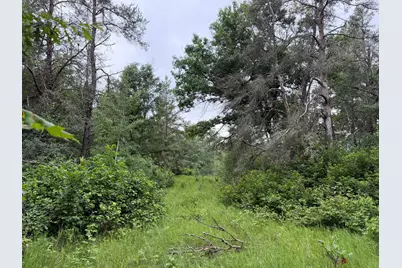 Tbd- 350th Street, Menahga, MN 56464 - Photo 25