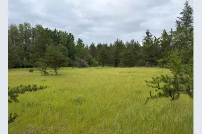 Tbd- 350th Street, Menahga, MN 56464 - Photo 37
