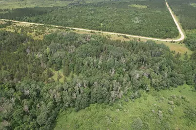 Tbd- 350th Street, Menahga, MN 56464 - Photo 7