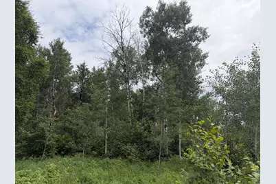 Tbdx 350th Street, Menahga, MN 56464 - Photo 25