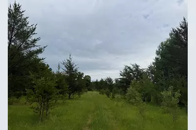 Tbdx 350th Street, Menahga, MN 56464 - Photo 41