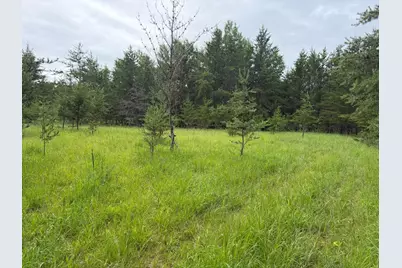 Tbdx 350th Street, Menahga, MN 56464 - Photo 39