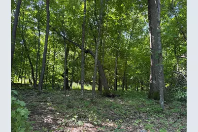 Tbd 215th Avenue, Long Prairie, MN 56347 - Photo 89