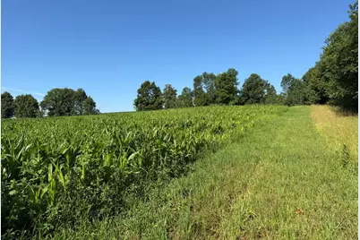 Tbd 215th Avenue, Long Prairie, MN 56347 - Photo 57