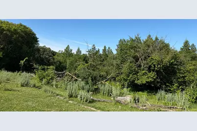 Tbd 215th Avenue, Long Prairie, MN 56347 - Photo 33