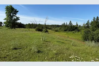 Tbd 215th Avenue, Long Prairie, MN 56347 - Photo 39