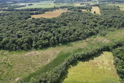 Tbd 215th Avenue, Long Prairie, MN 56347 - Photo 15