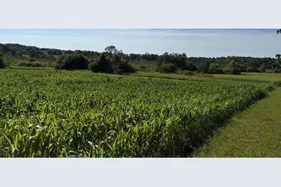 Tbd 215th Avenue, Long Prairie, MN 56347 - Photo 63