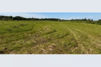 Tbd 215th Avenue, Long Prairie, MN 56347 - Photo 73