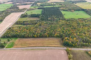 1350 Co Rd D Lot 4, Emerald, WI 54013 - Photo 1
