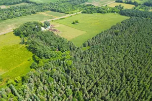 1350 Co Rd D Lot 4, Emerald, WI 54013 - Photo 9