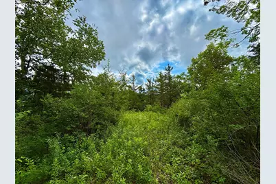 Tbd89 County 13, Houston, MN 55943 - Photo 29