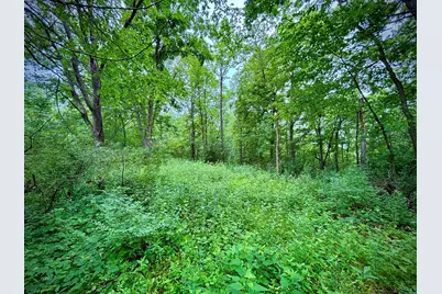 Tbd89 County 13, Houston, MN 55943 - Photo 35