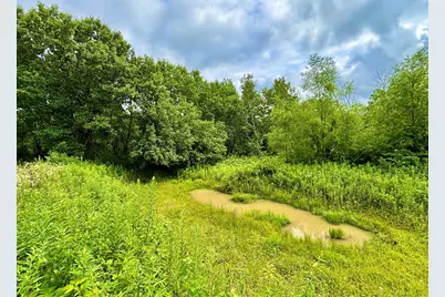 Tbd89 County 13, Houston, MN 55943 - Photo 11
