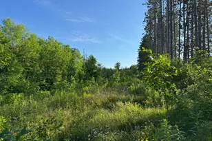 Tbd-2 N Riverside Rd, Moose Lake, MN 55767 - Photo 1
