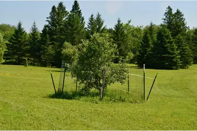 6438 Highway 29, Van Buren Twp, MN 55736 - Photo 17