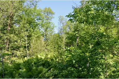 6438 Highway 29, Van Buren Twp, MN 55736 - Photo 31