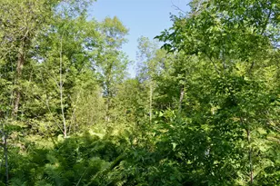 6438 Hwy 29, Van Buren Twp, MN 55736 - Photo 31