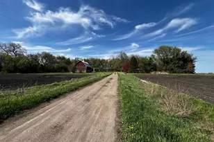 26176 Co Rd 11, Renville, MN 56284 - Photo 3