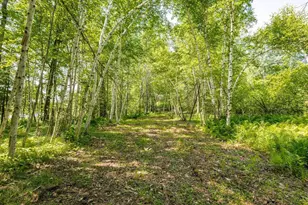 2592 Strandberg Rd, Barnum, MN 55707 - Photo 23