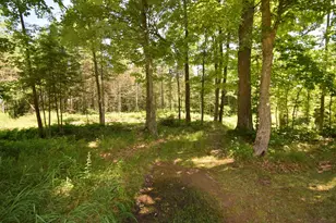 14622 S Swedish Hwy, Danbury, WI 54830 - Photo 71